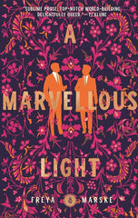 A Marvellous Light (The Last Binding, 1) cover image