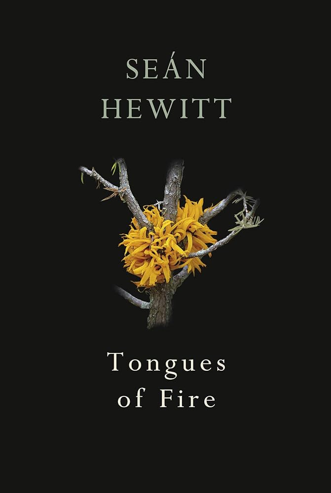 Tongues of Fire cover image