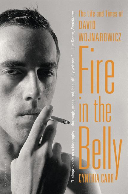 Fire in the Belly: The Life and Times of David Wojnarowicz - Ingram