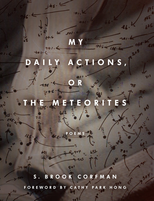 My Daily Actions, or the Meteorites - Ingram