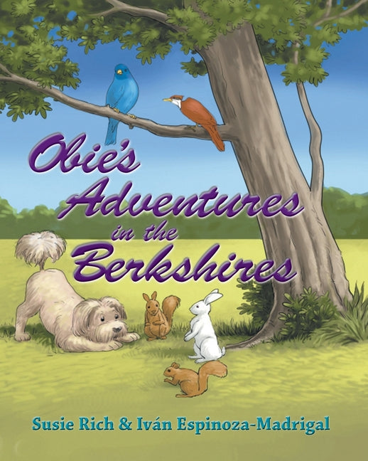 Obie's Adventures in the Berkshires - Ingram