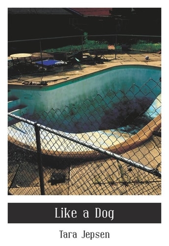 Like a Dog (City Lights/Sister Spit)