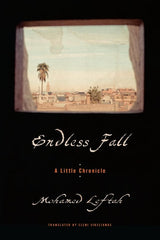 Endless Fall: A Little Chronicle