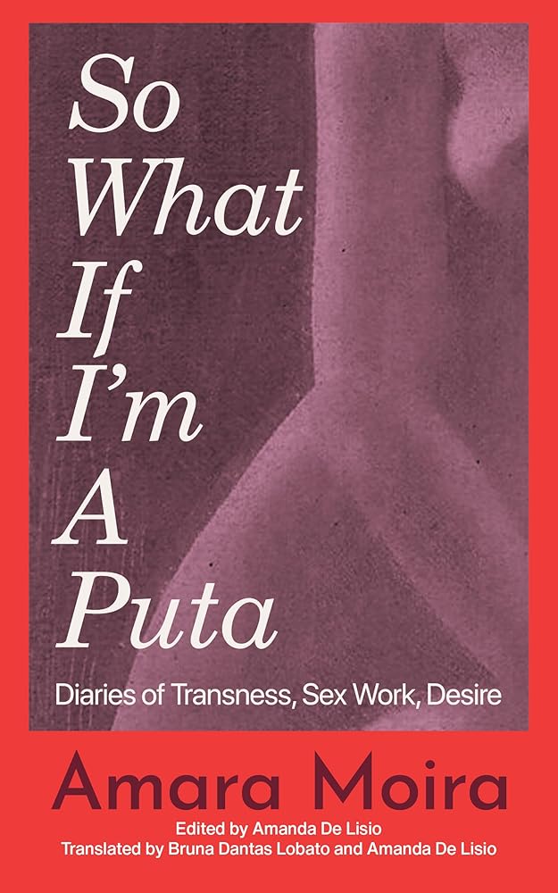 So What If I'm a Puta: Diaries of Transness, Sex Work, Desire cover image