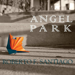 Angel Park cover image
