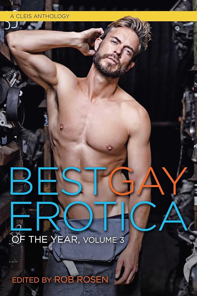 Best Gay Erotica of the Year, Volume 3 cover image