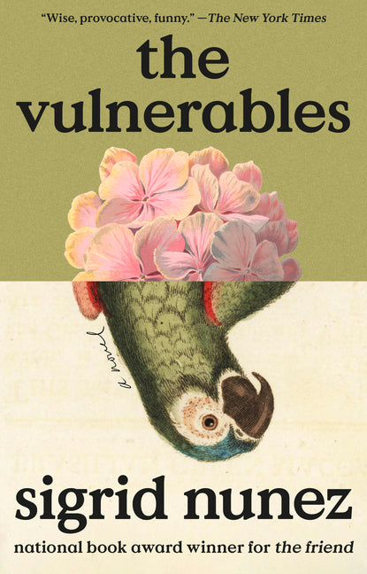 Vulnerables - Ingram