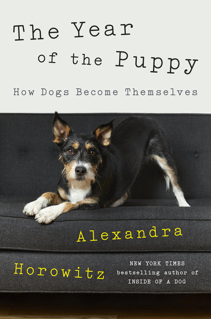 Year of the Puppy: How Dogs Become Themselves - Ingram