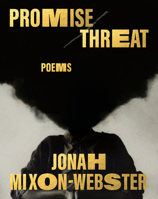 Promise/Threat: Poems - Ingram
