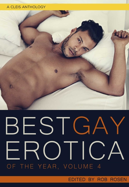 Best Gay Erotica of the Year, Volume 4 - Ingram