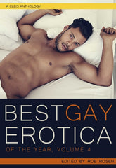 Best Gay Erotica of the Year, Volume 4 - Ingram