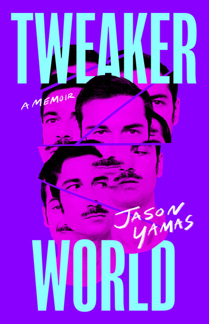 Tweakerworld: A Memoir - Ingram
