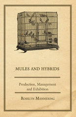Mules and Hybrids - Production, Management and Exhibition - Ingram