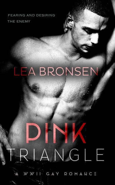 Pink Triangle: A WWII Gay Romance - Ingram
