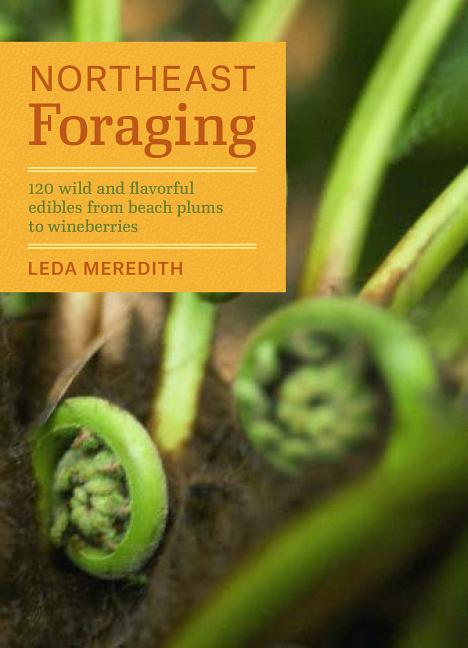 Northeast Foraging: 120 Wild and Flavorful Edibles from Beach Plums to Wineberries - Ingram
