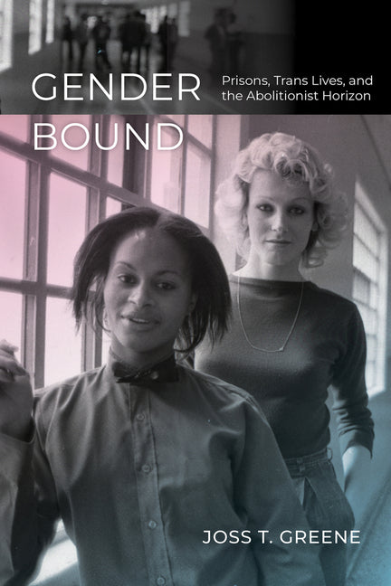 Gender Bound: Prisons, Trans Lives, and the Abolitionist Horizon - Ingram