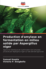 Production d'amylase en fermentation en milieu solide par Aspergillus niger - Ingram