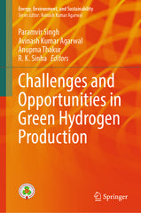 Challenges and Opportunities in Green Hydrogen Production (2024) - Ingram