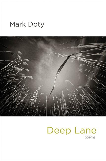 Deep Lane: Poems - Ingram