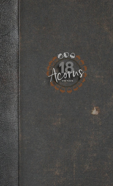 18ACORNS BUJO and Productivity Guide for the Overwhelmed - Ingram