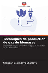 Techniques de production de gaz de biomasse - Ingram