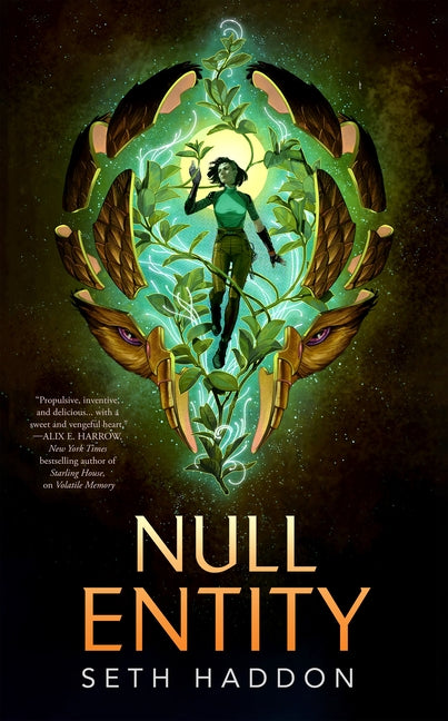 Null Entity - Ingram