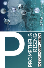 Prometheus Rising - Ingram