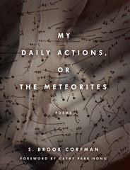 My Daily Actions, or the Meteorites - Ingram