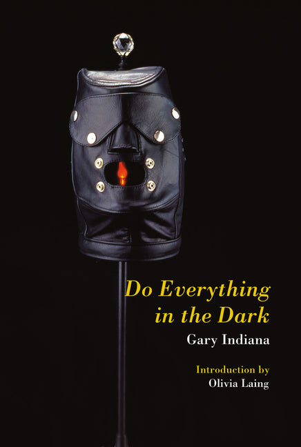 Do Everything in the Dark - Ingram
