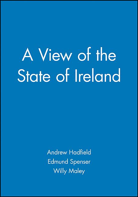 View of the State of Ireland: The Production and Experience of Consumption (Revised) - Ingram