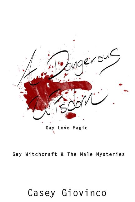 Dangerous Wisdom: Gay Love Magic - Ingram