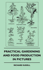 Practical Gardening And Food Production In Pictures - Ingram