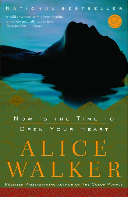 Now Is the Time to Open Your Heart: Now Is the Time to Open Your Heart: A Novel - Ingram