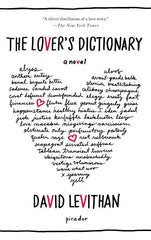 Lover's Dictionary - Ingram