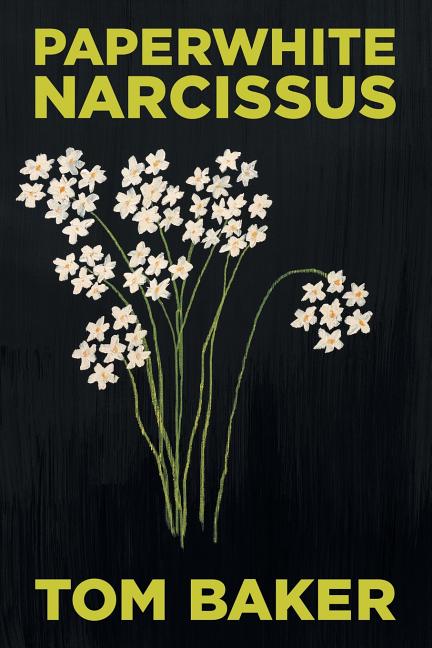 Paperwhite Narcissus - Ingram