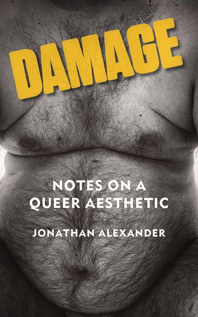 Damage: Notes on a Queer Aesthetic - Ingram