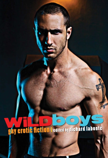 Wild Boys: Gay Erotic Fiction - Ingram