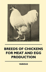 Breeds of Chickens for Meat and Egg Production - Ingram