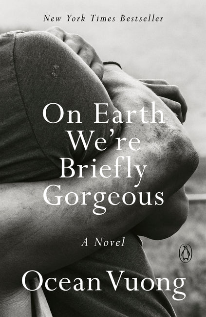 On Earth We're Briefly Gorgeous - Ingram
