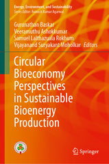 Circular Bioeconomy Perspectives in Sustainable Bioenergy Production (2024) - Ingram