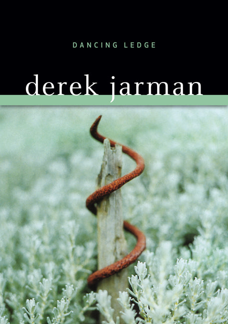 Dancing Ledge - Ingram