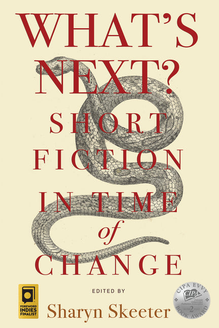 What's Next? Short Fiction in Time of Change - Ingram
