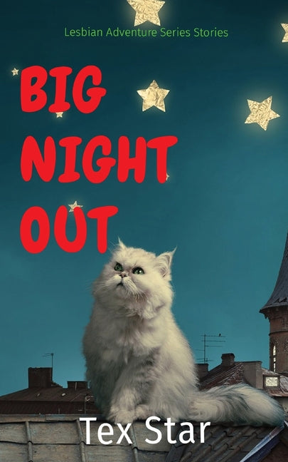 Big Night Out: Lesbian Adventure Series Stories - Ingram