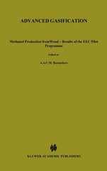 Advanced Gasification: Methanol Production from Wood - Results of the EEC Pilot Programme (1986) - Ingram