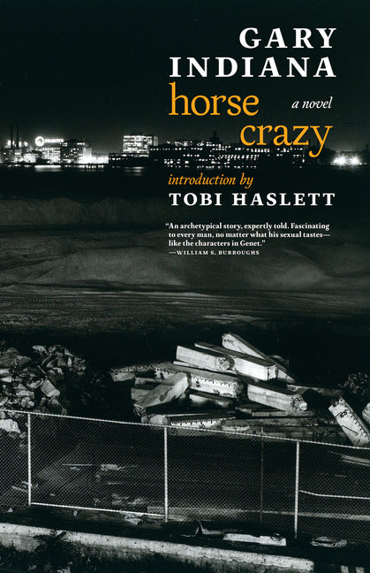 Horse Crazy - Ingram