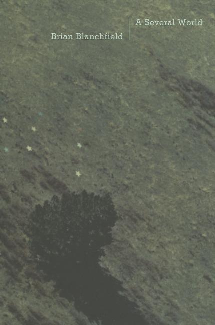 Several World - Ingram