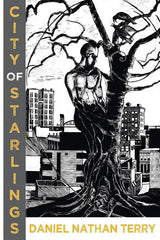 City of Starlings - Ingram