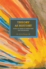 Theory as History: Essays on Modes of Production and Exploitation - Ingram
