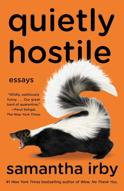 Quietly Hostile: Essays - Ingram