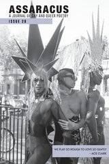 Assaracus Issue 28: A Journal of Gay and Queer Poetry